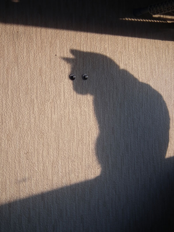 Somebody Furry is Watching You