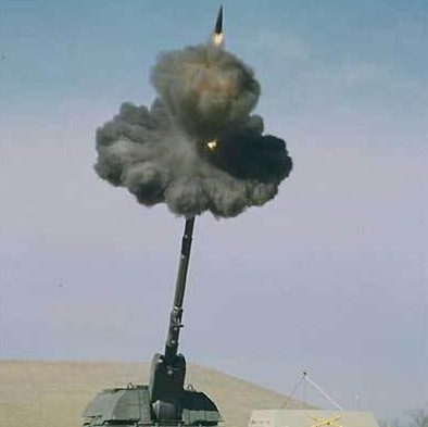 Tank Flower Optical Illusion img