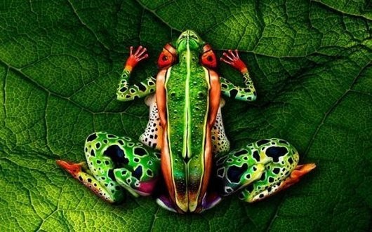 Related image