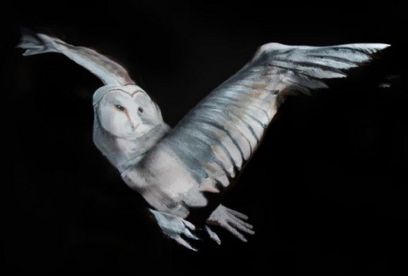 Body Paint Owl Optical Illusion