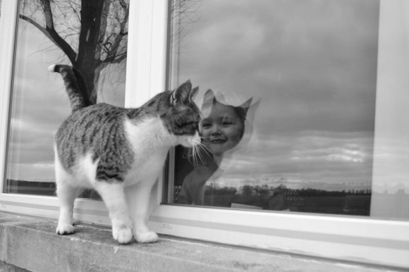 cat with human reflection