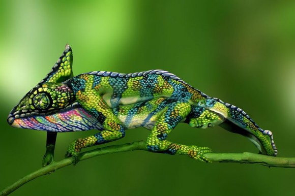 Chameleon Optical Illusion