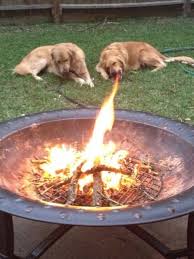 dragon dog fire illusion