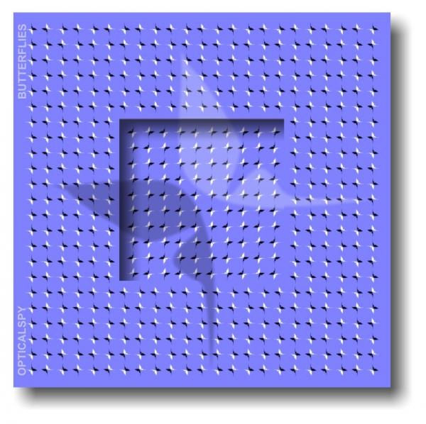 3D Moving Optical Illusion