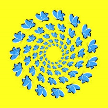 butterflies illusion