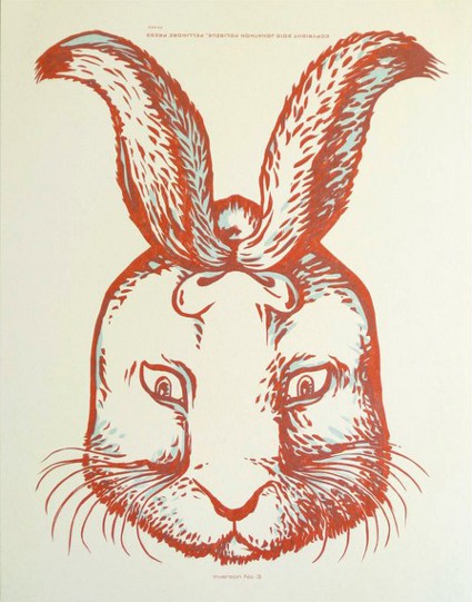 rabbt optical illusion