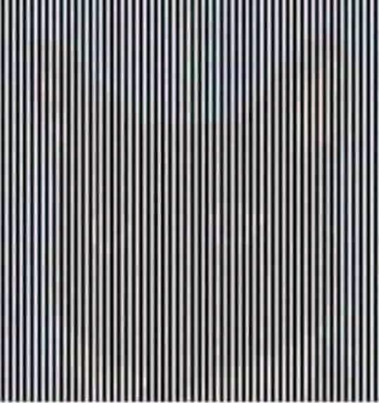 shake your head illusion