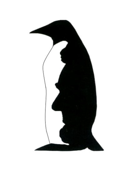 president or penguin illusion