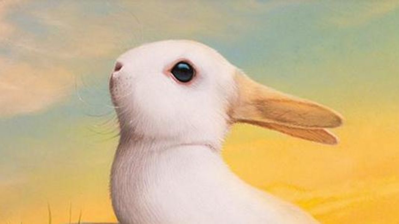 Rabbit Or Duck Illusion Happy Easter
