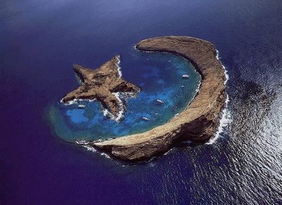 earth day optical illusions 2