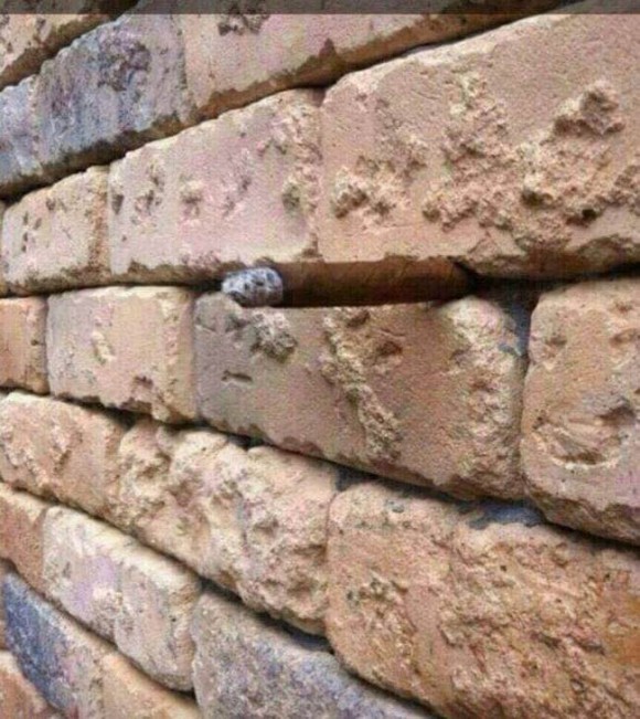 brick wall illusion