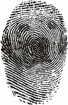 fingerprint illusion