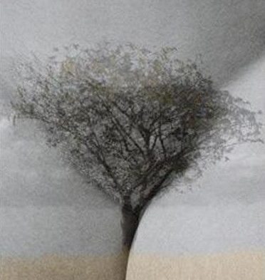 Naughty Lady Bits | Dirty Mind Illusion img