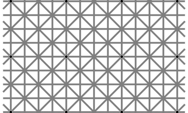 Disappearing Black Dots Illusion img