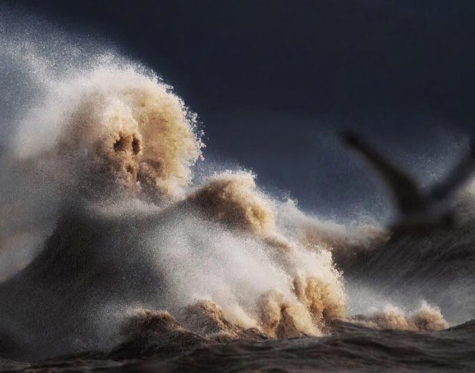 Death in Lake Erie Waves