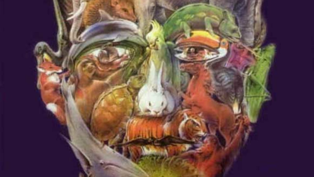 Optical Illusion: The animals hidden within pictures Optical Illusion: The animals hidden within pictures
