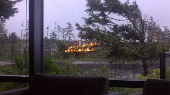 forest fire reflection illusion