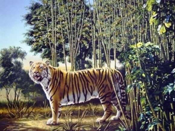 hidden tiger illusion