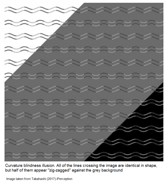 curvature blindness illusion