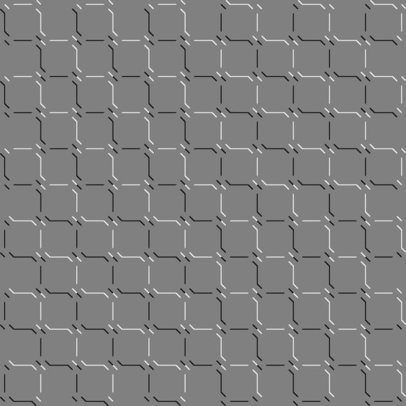 lightness flipped turtle illusion